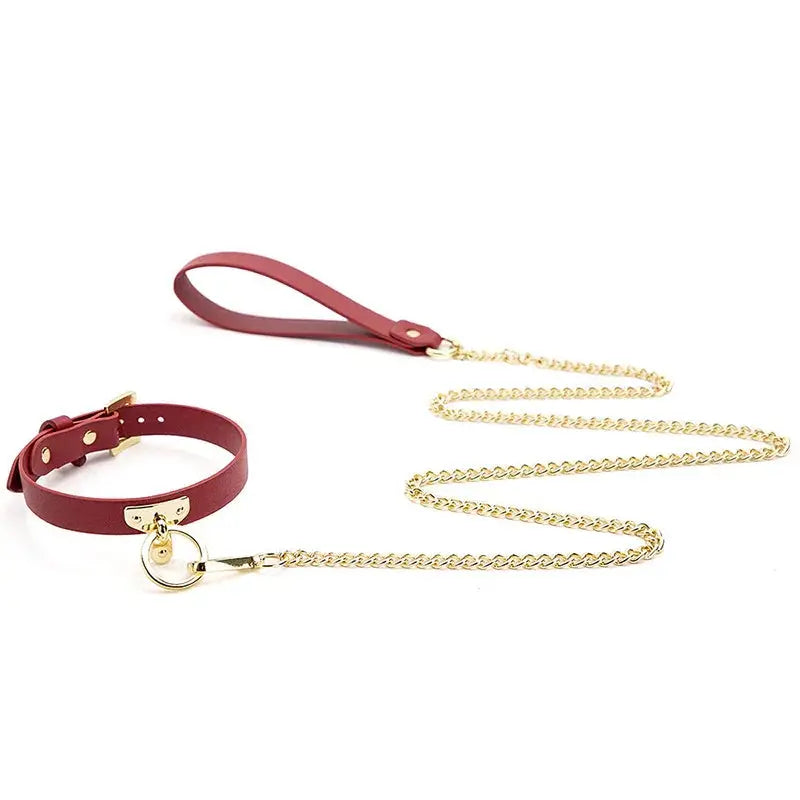 Leather Cosplay Choker & Leash DesireBlaze