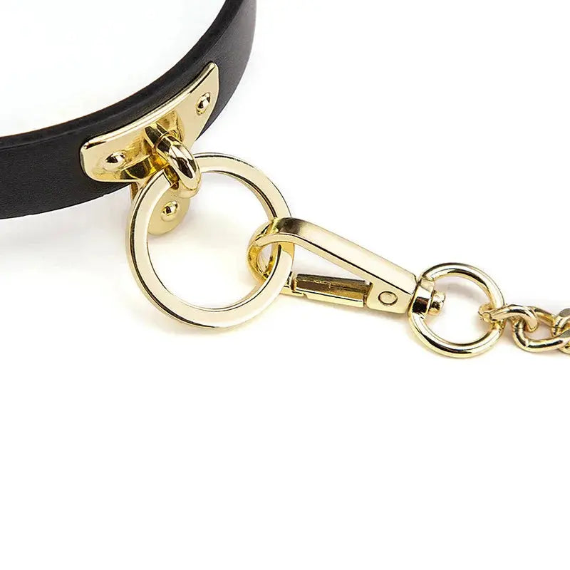 Leather Cosplay Choker & Leash DesireBlaze