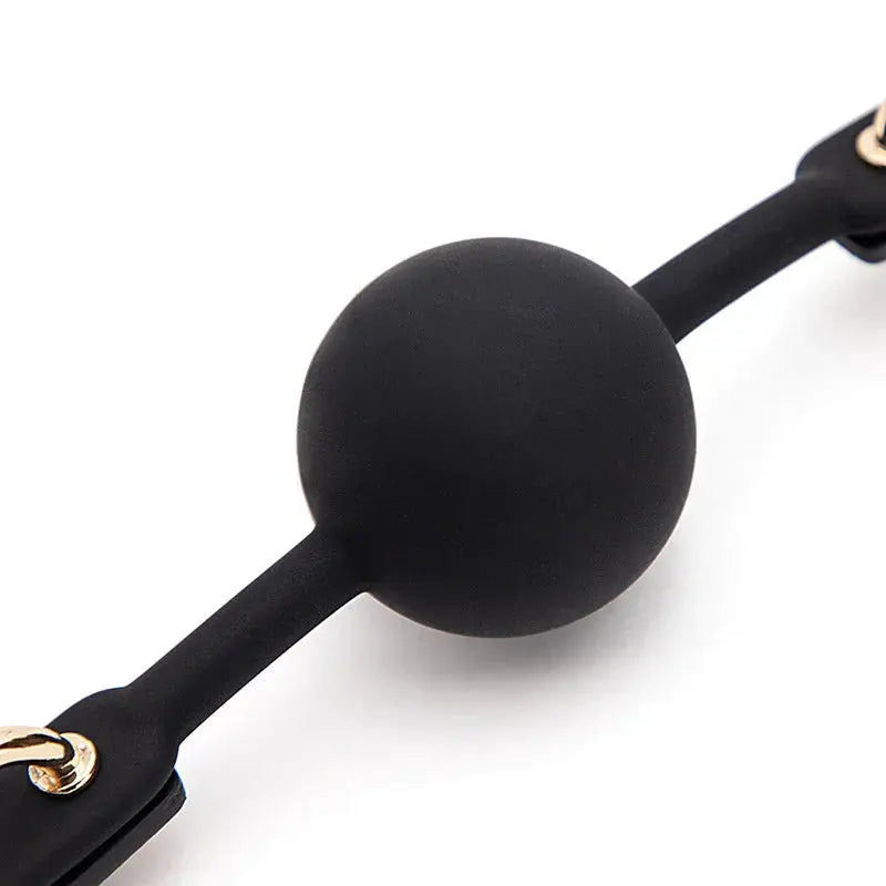 Silicone Mouth Gag Ball DesireBlaze