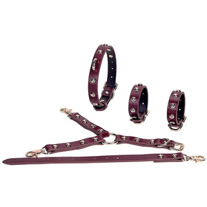 Deep Red Genuine Leather Adult Bondage Kit (Style II) - DesireBlaze