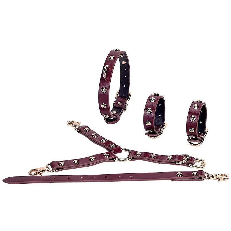 Deep Red Genuine Leather Adult Bondage Kit (Style II) - DesireBlaze