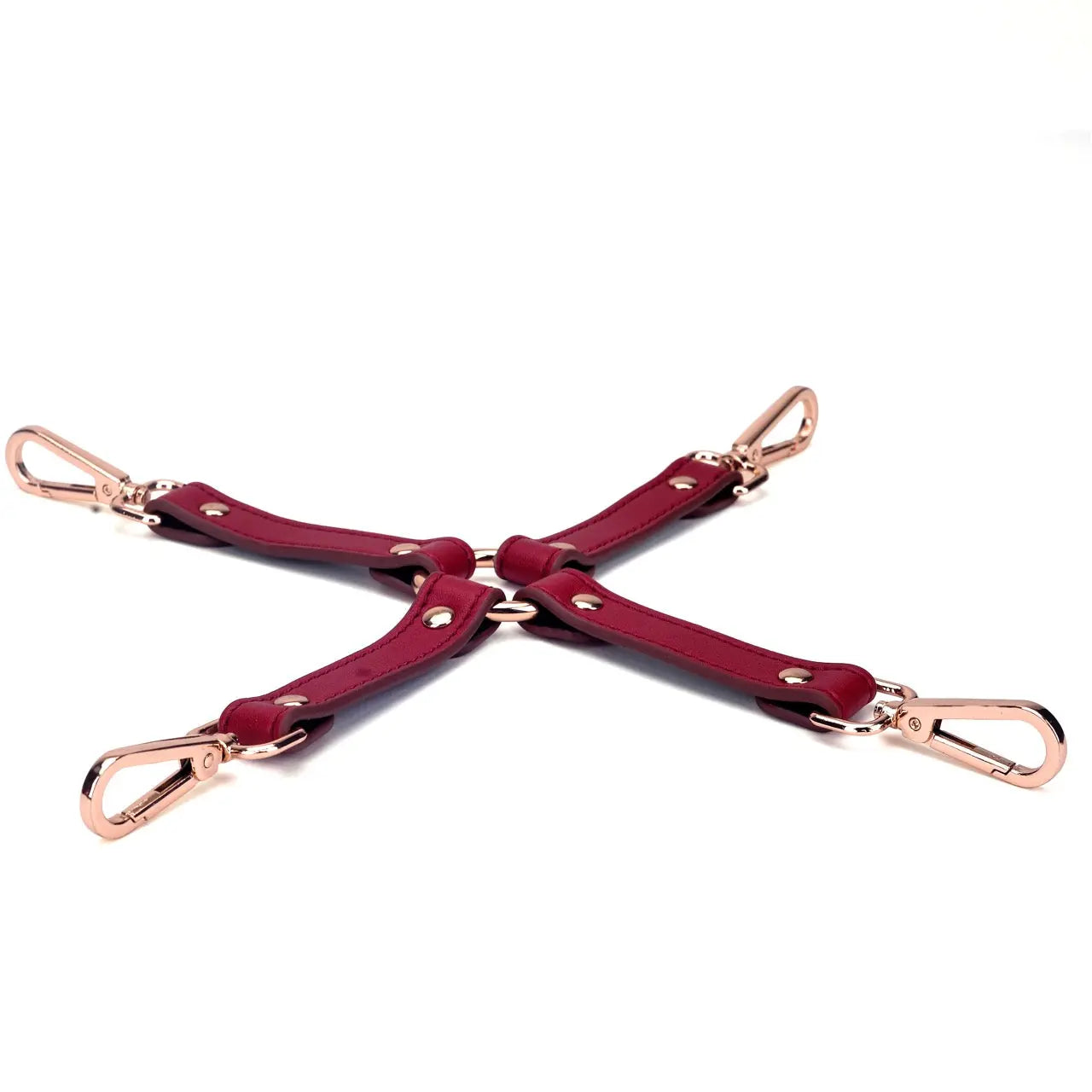 Genuine Leather Burgundy 16-Piece Adult Bondage Kit - DesireBlaze