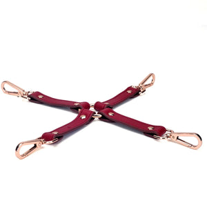 Genuine Leather Burgundy 16-Piece Adult Bondage Kit - DesireBlaze