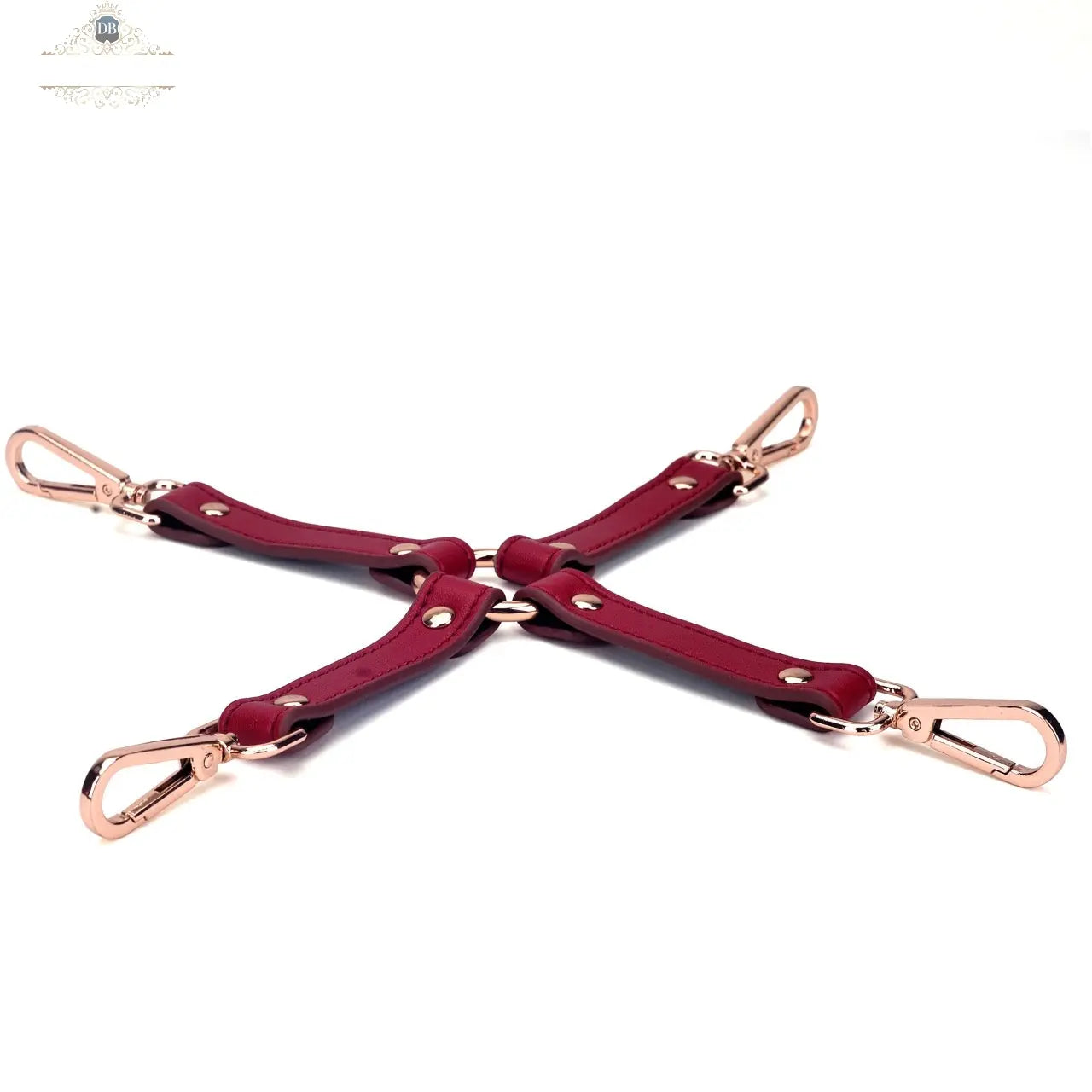 Genuine Leather Burgundy 16-Piece Adult Bondage Kit DesireBlaze
