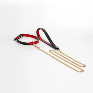Genuine Leather Naughty Devil Bondage Collar DesireBlaze