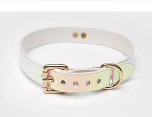 Iridescent Shimmer BDSM Bondage Restraint Set DesireBlaze