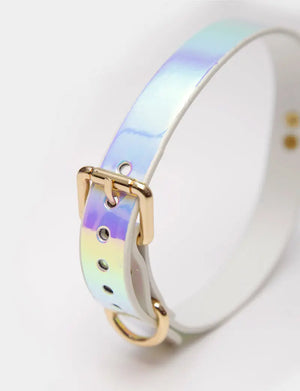 Iridescent Shimmer BDSM Bondage Restraint Set DesireBlaze