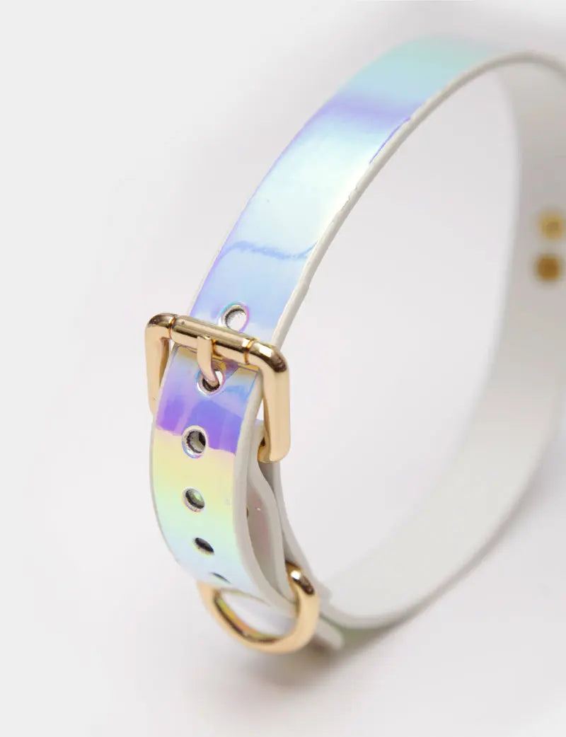 Iridescent Shimmer BDSM Bondage Restraint Set DesireBlaze